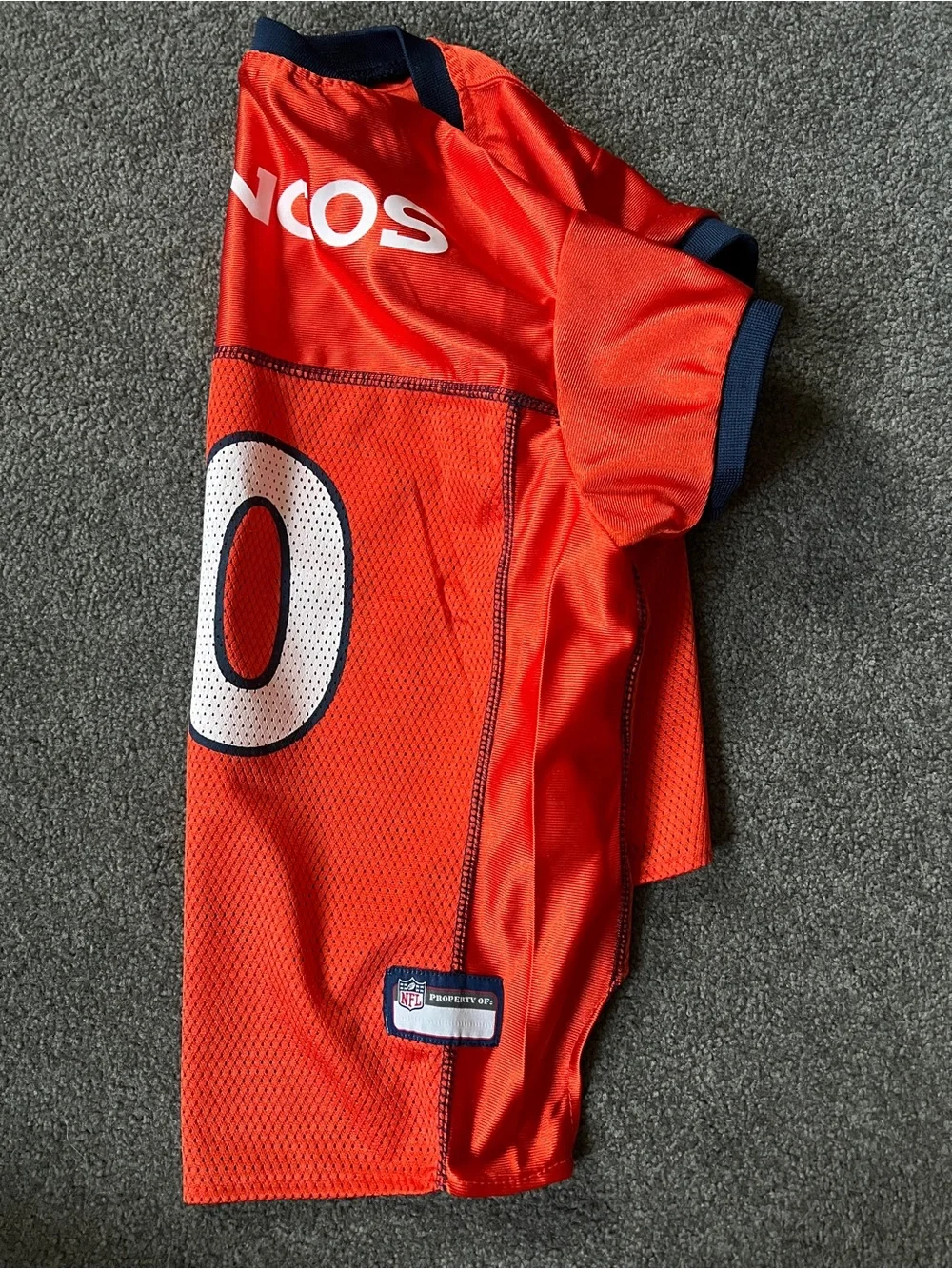Broncos Dog jersey